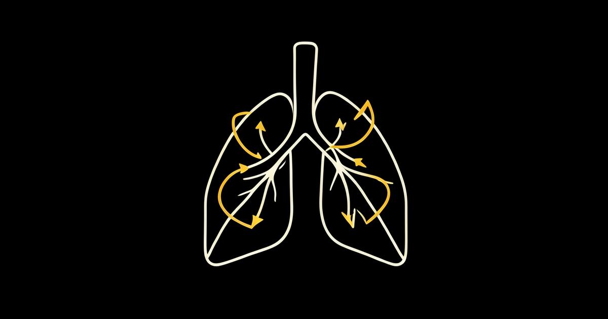 The Oxygen Problem: Why Some Investments Fail Before They Begin